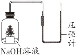 NaOH溶液