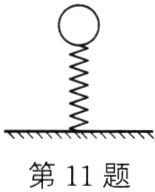 第11题