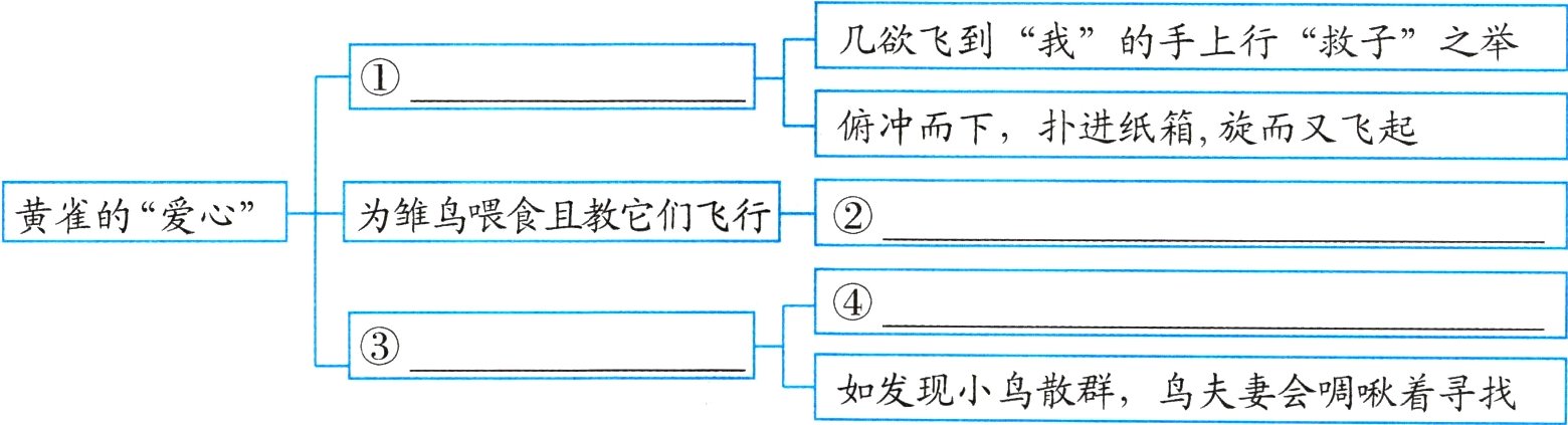 如发现小鸟散群鸟夫妻会啁啾着寻找