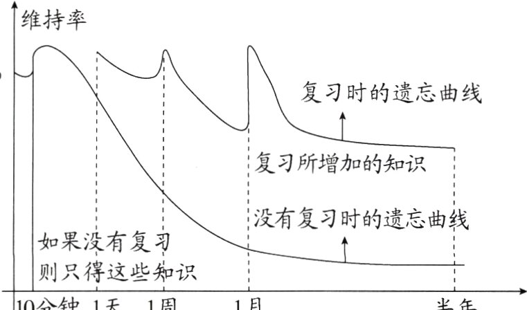 则只得这些知识10分钟1天1周1月半年