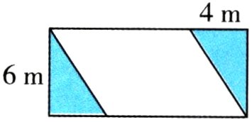 6m