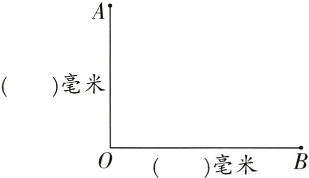 毫米