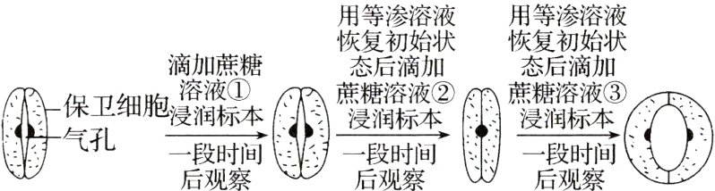 一段时间一段时间后观察后观察