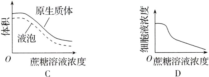 蔗糖溶液浓度0蔗糖溶液浓度