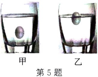 第5题