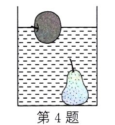 第4题