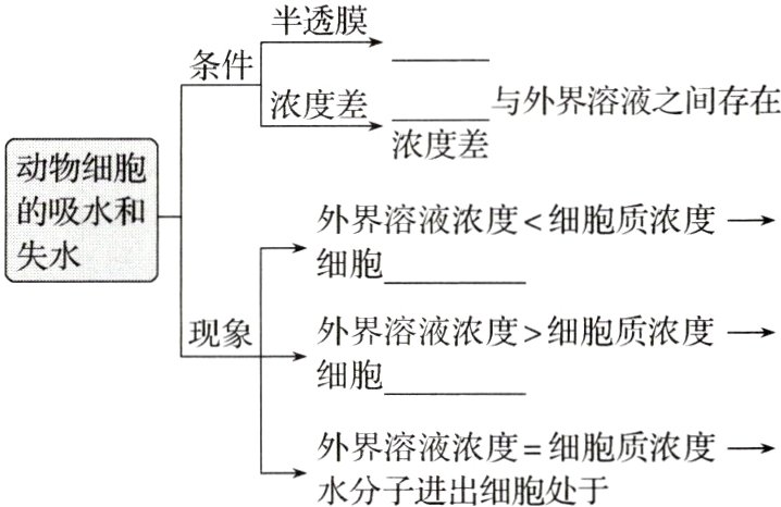 外界溶液浓度细胞质浓度一水分子进出细胞处于