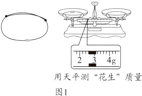 用天平测花生质量图1