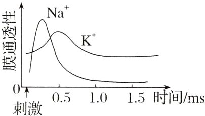 刺激05i1015时间ms