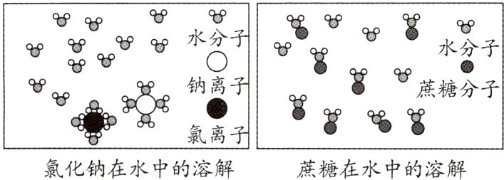 氯离氯化钠在水中的溶解蔗糖在水中的溶解