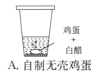 A自制无壳鸡蛋