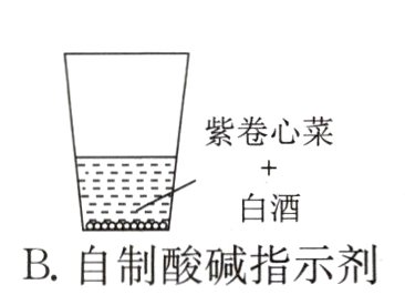 B自制酸碱指示剂