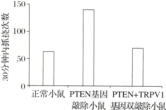 0正常小鼠PTEN基因PTENTRPV11敲除小鼠基因双敲除小鼠