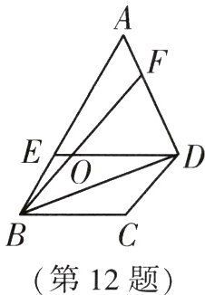 第12题