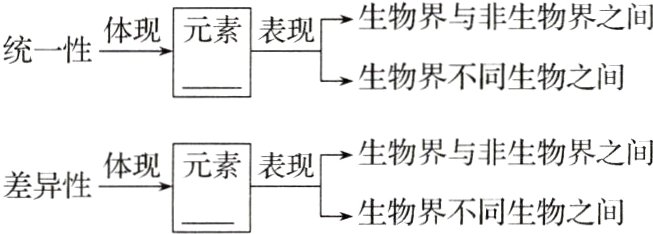 体现元素表现差异性物界不同生物之间