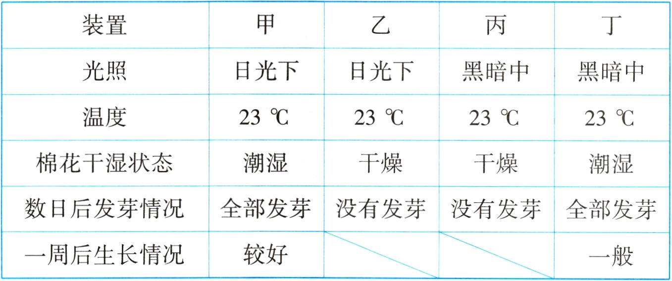 较好一周后生长情况一般
