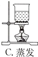 C蒸发