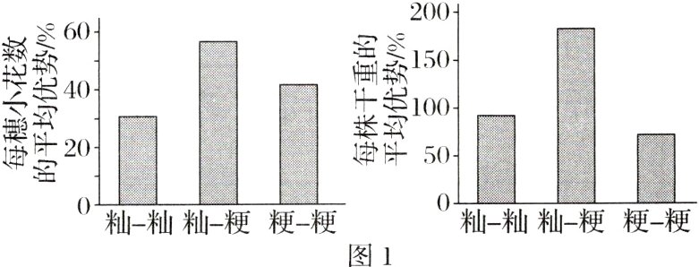 0粗梗粳梗01疝梗粳梗图1