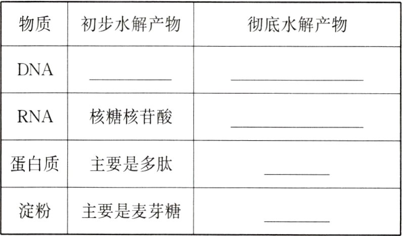 淀粉主要是麦芽糖