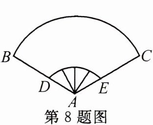 第8题图