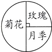 月季