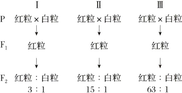 红粒白粒红粒白粒红粒白粒F215163131