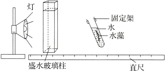 盛水玻璃柱直尺