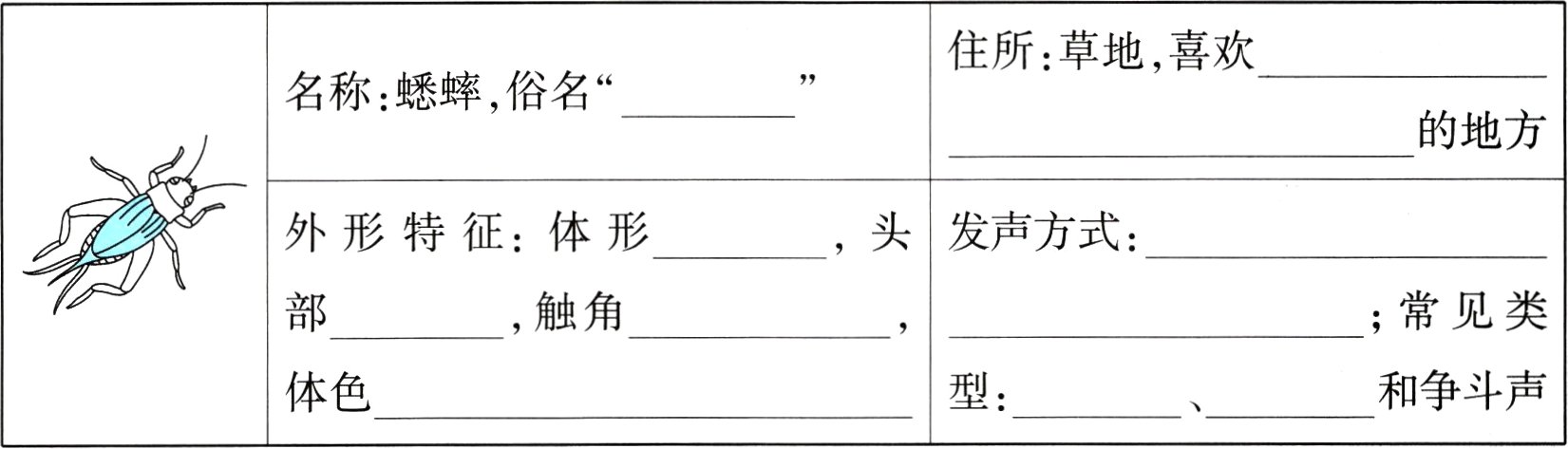 和争斗声型体色