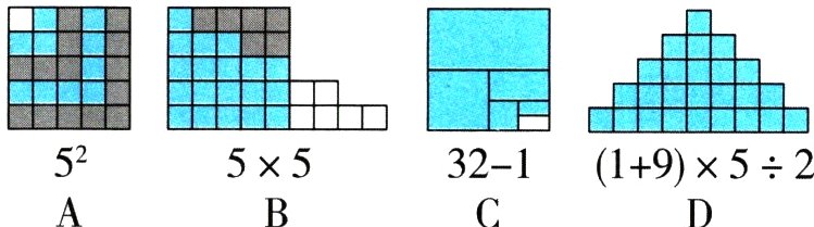 19525255321