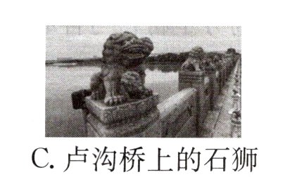 C卢沟桥上的石狮