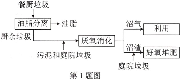 庭院垃圾第1题图