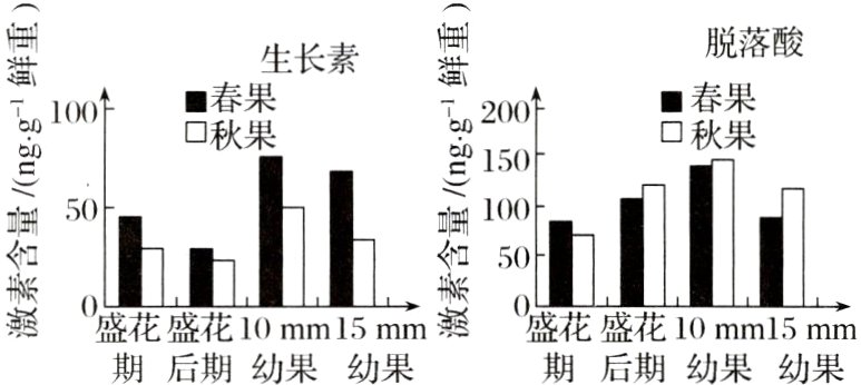 期后期幼果幼果期后期幼果幼果