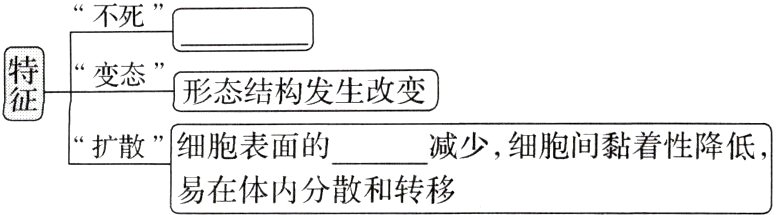 易在体内分散和转移