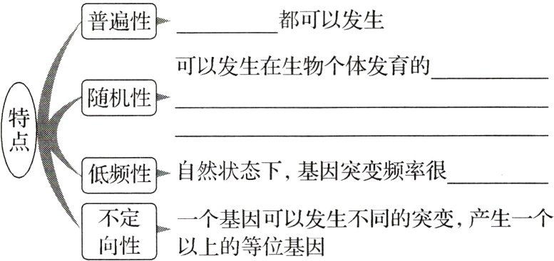 不定一个基因可以发生不同的突变产生一个向性以上的等位基因
