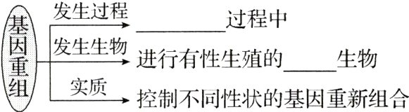 控制不同性状的基因重新组合