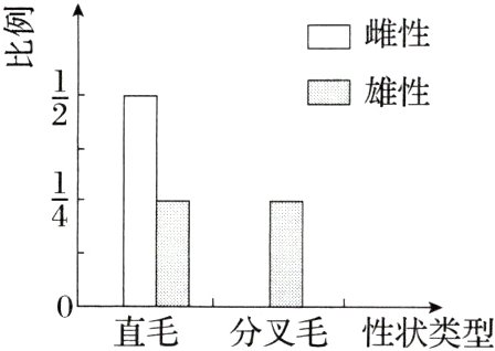 直毛分叉毛性状类型