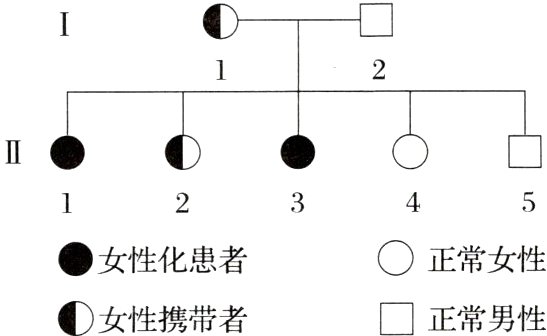 D女性携带者正常男性