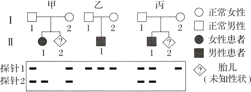 二二未知性状探针2