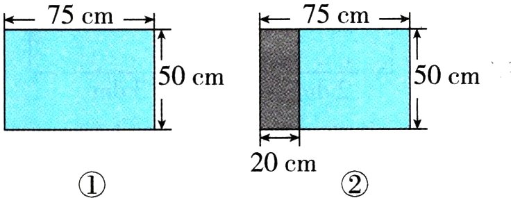 20cm