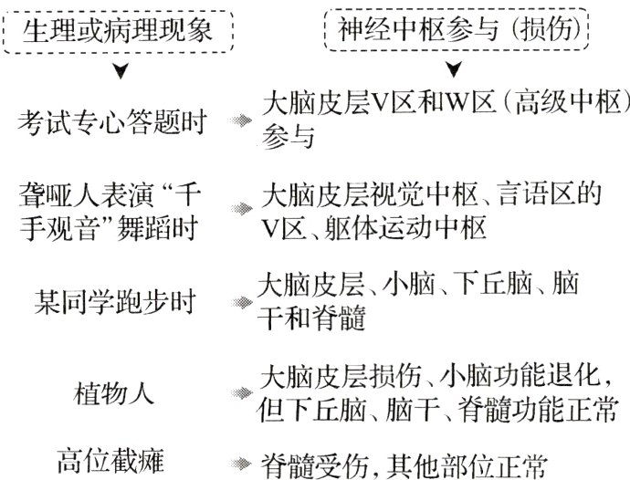 高位截瘫脊髓受伤其他部位正常