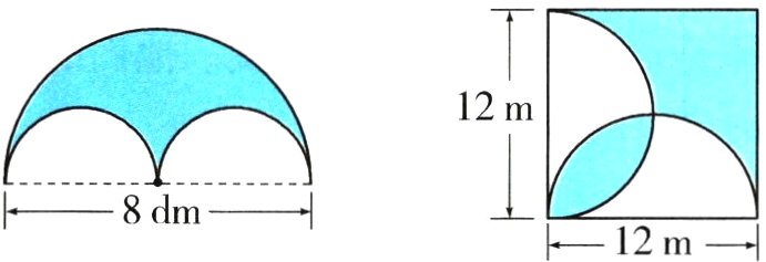 8dm12m