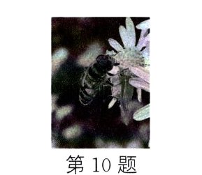 第10题