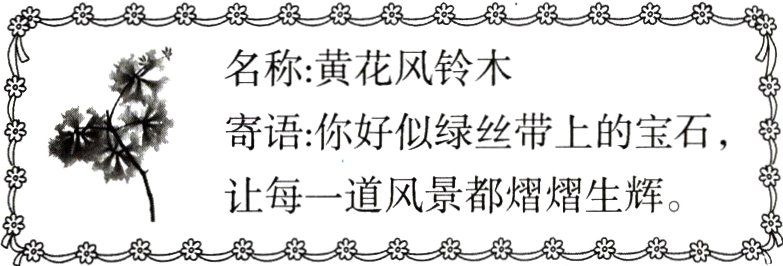 让每一道风景都熠熠生辉密荣