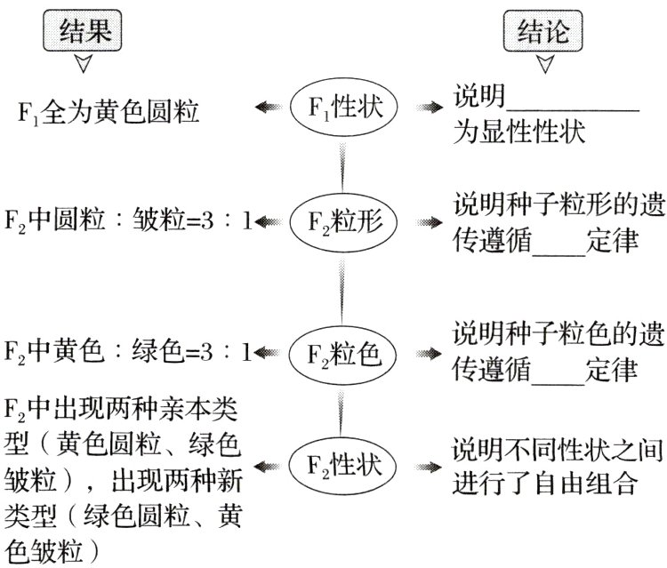 类型绿色圆粒黄色皱粒