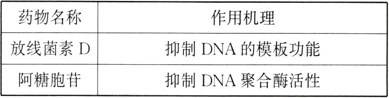 阿糖胞苷抑制DNA聚合酶活性