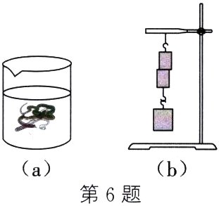 ab第6题