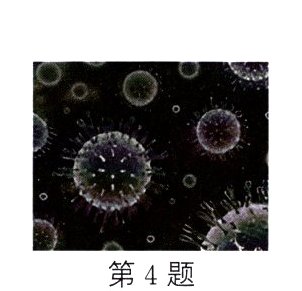 第4题