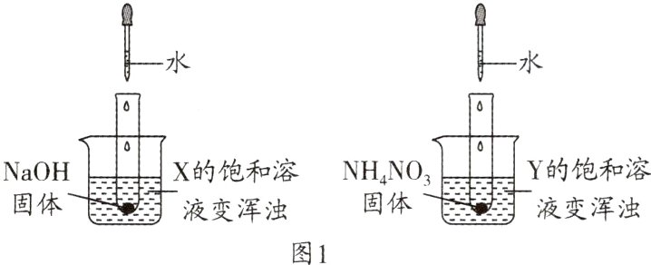 固体固体液变浑浊液变浑浊图1