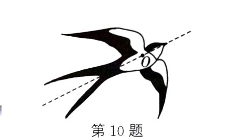第10题