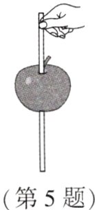 第5题